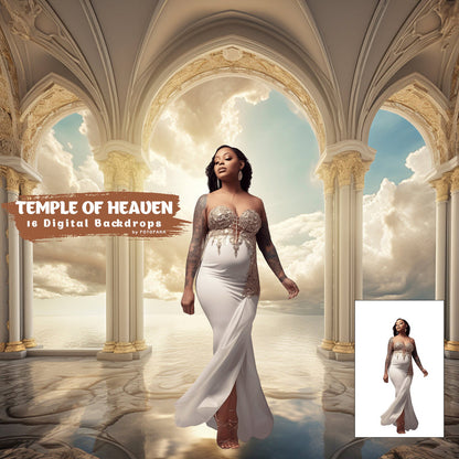 Digital Backdrop Goddess Maternity Backdrop Overlays Studio Backdrop Overlays Fine Art Textures Photoshop Overlays Castle Digital Backdrop