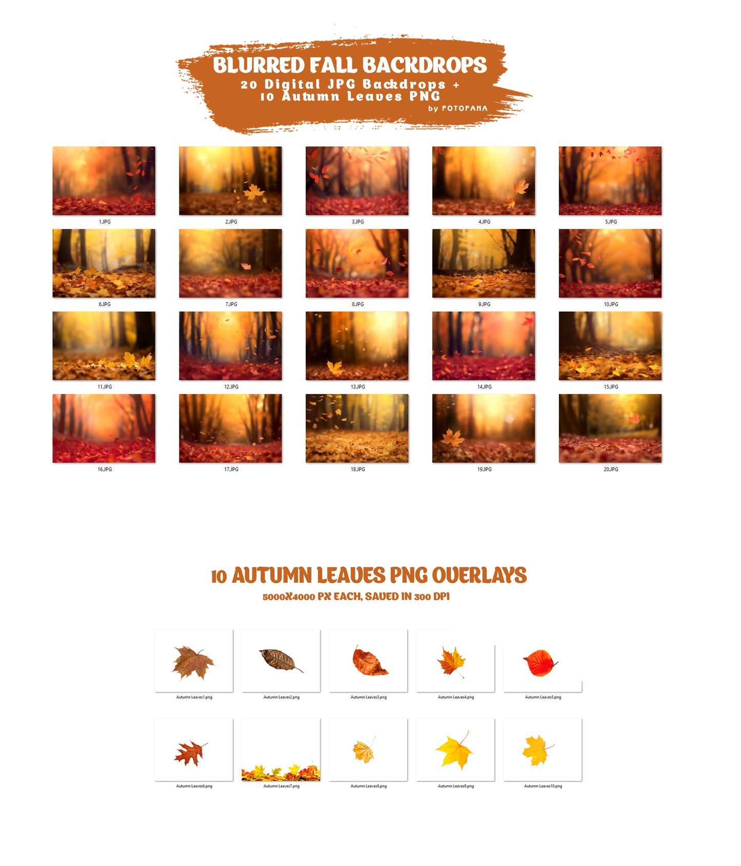 Blurred Fall Portrait Backdrops for Photoshop Digital Autumn Photo Editing Backgrounds Autumn Leaves Fall Overlays Autumn Backdrops Digital