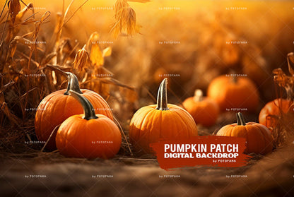 Pumpkin Patch Fall Digital Backdrop