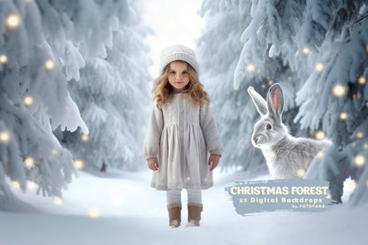 23 Christmas Forest Backdrop Winter Backdrop Christmas Snow Magic Forest Bokeh Digital Background Christmas Studio Digital Backdrop Overlays