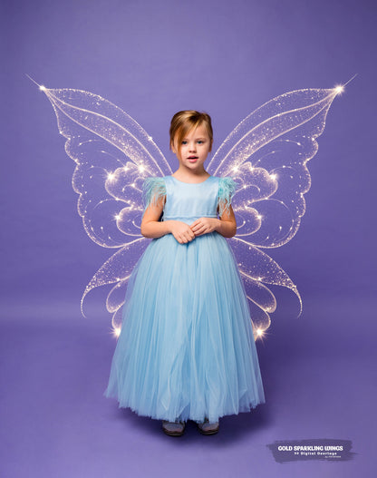 30 Gold Glitter Wings Fairy Wings Digital Backdrop Maternity Backdrop Overlays Studio Backdrop Photoshop Maternity Fine Art Textures Overlay