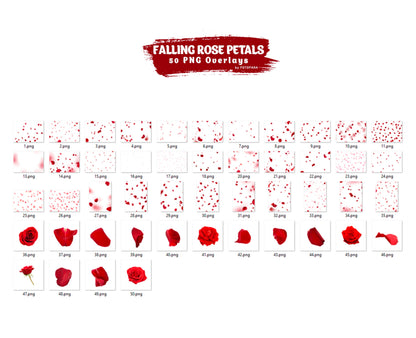 Red rose petals Romantic Maternty Overlays Wedding overlay Photoshop Overlays Valentine's day Falling Petals Maternity Digital backdrop PNG