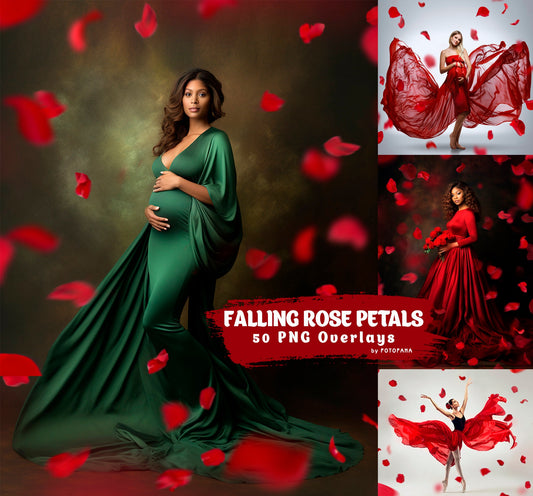 Red rose petals Romantic Maternty Overlays Wedding overlay Photoshop Overlays Valentine's day Falling Petals Maternity Digital backdrop PNG