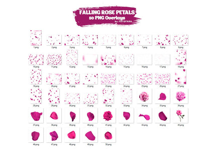Pink Rose Petals Romantic Maternty Overlays Wedding Overlay Photoshop Overlays Valentines Day Falling Petals Maternity Digital Backdrop Png
