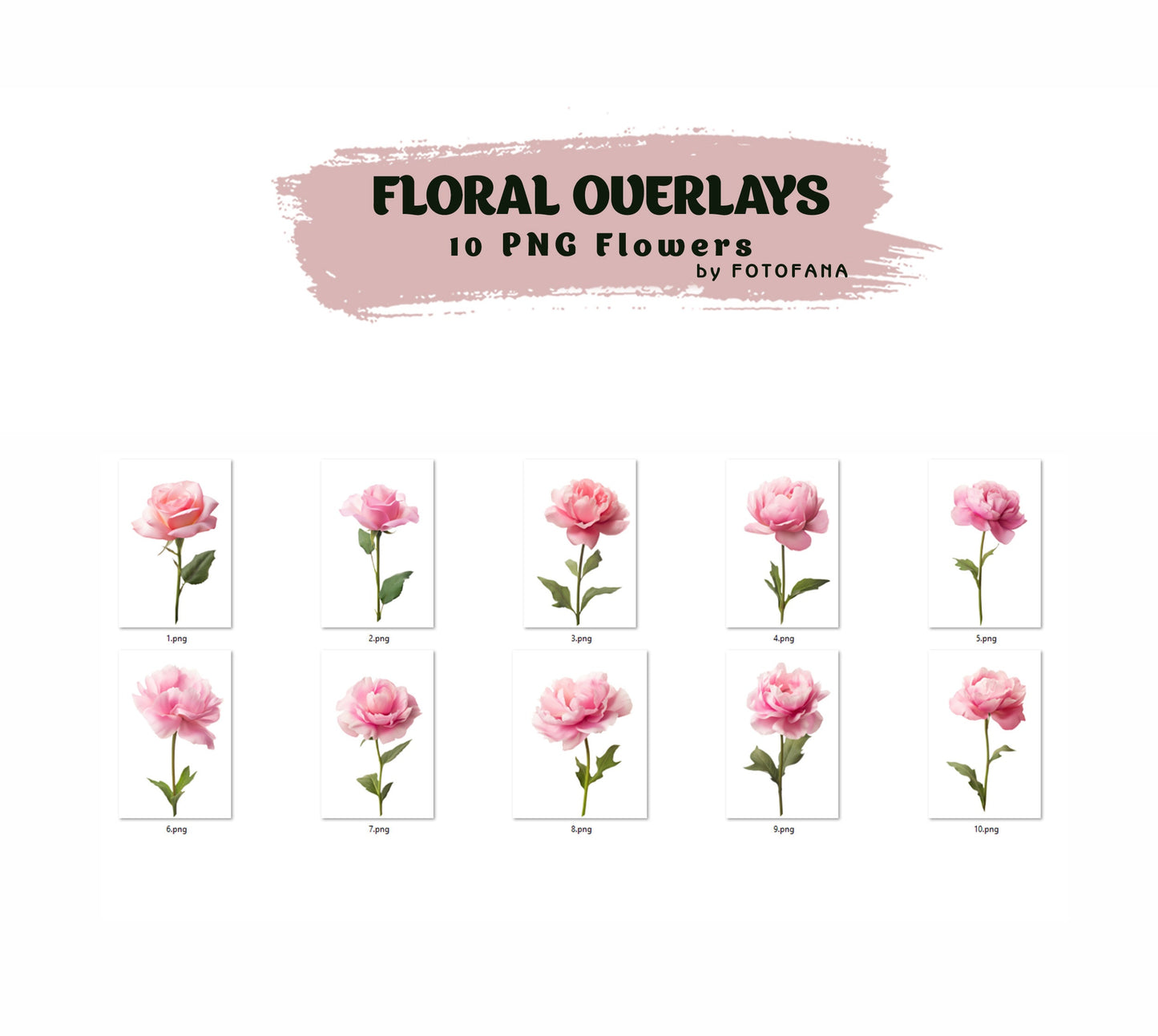 Floral Maternity Overlay Floral Clip Art Floral Graphics Photoshop Overlays Floral Fine Art Floral Digital Backdrops Maternity Rose Overlay