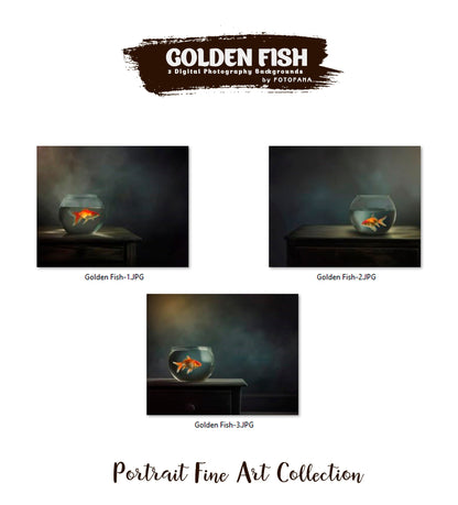 Photography Background for Composite Portrait Fine Art Backdrop Portrait Texture Photography Digital Backdrops Photo Editing for Photoshop