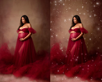 15 Celestial Dust Overlay Glitter Dust Floating Dust Falling photoshop overlay Maternity Overlays Portrait Maternity Digital Backdrop PNG