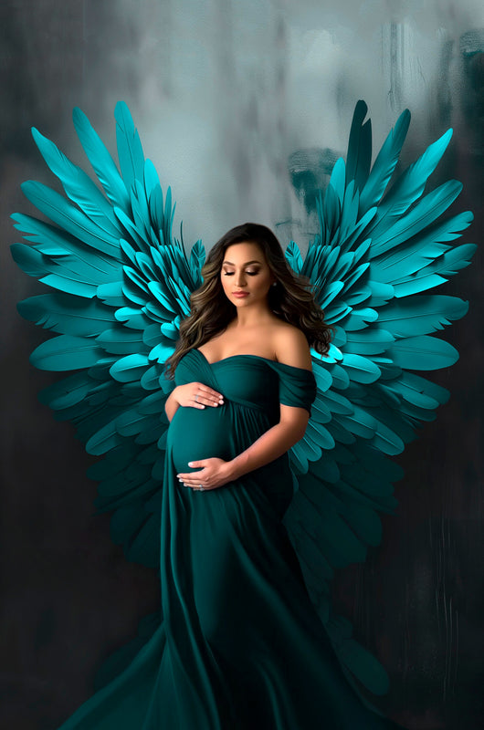 Angel Wings Digital Backdrops Maternity Backgrounds Digital Studio Backdrops Photoshop Maternity Fine Art Textures Photoshop Overlays Photo