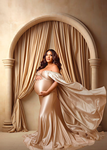 Arch Digital Backdrops Maternity Backdrop Overlays Studio Backdrop Boho Overlays Fine Art Textures Photoshop Overlays Digital Backgrounds