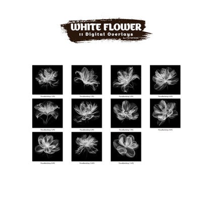 FLORAL OVERLAYS Digital Backdrops Maternity Digital Backgrounds Floral Overlays Fine Art Studio Backdrop Photoshop Overlay Texture Photoshop