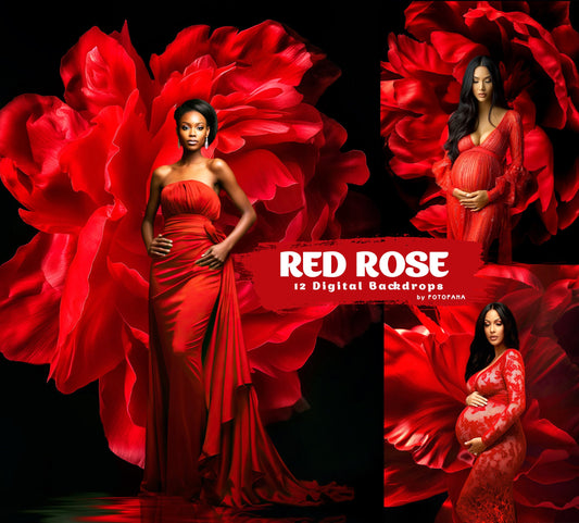 12 RED ROSE Digital Backdrops Overlay Maternity Digital Background Flower Fabric dress Texture Overlays Fine Art Studio Valentine Backdrop