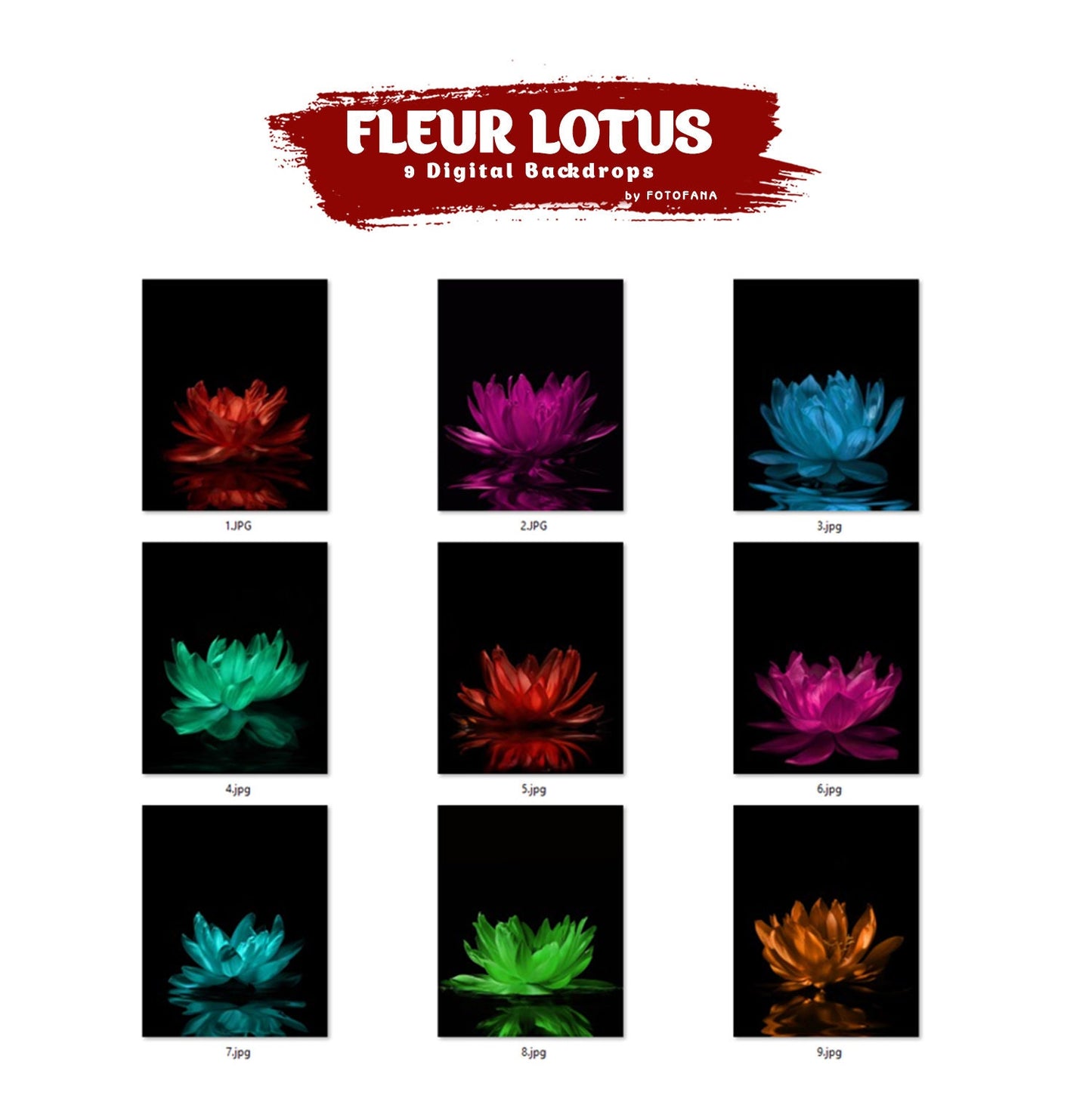FLORAL BACKDROPS Digital Fleur Lotus Backdrop Overlay Maternity Backdrop  Digital Floral Overlays Art Studio Backdrop for Photoshop Overlays