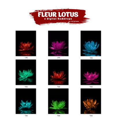 FLORAL BACKDROPS Digital Fleur Lotus Backdrop Overlay Maternity Backdrop  Digital Floral Overlays Art Studio Backdrop for Photoshop Overlays