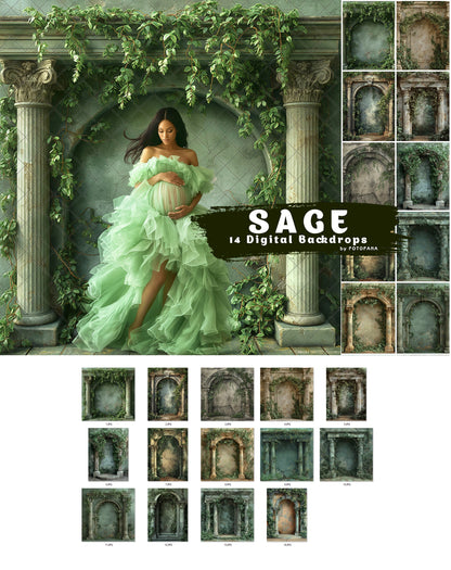 SAGE ARCH Digital Backdrops Maternity Overlays Backgrounds Floral Overlays Newborn Studio Backdrop for Photoshop Overlays Photoshop Fine Art