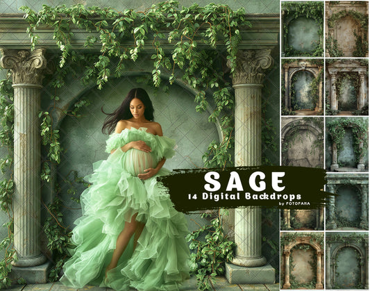 SAGE ARCH Digital Backdrops Maternity Overlays Backgrounds Floral Overlays Newborn Studio Backdrop for Photoshop Overlays Photoshop Fine Art