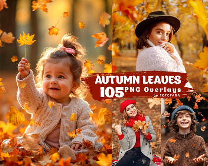 Autumn Leaves PNG Overlays