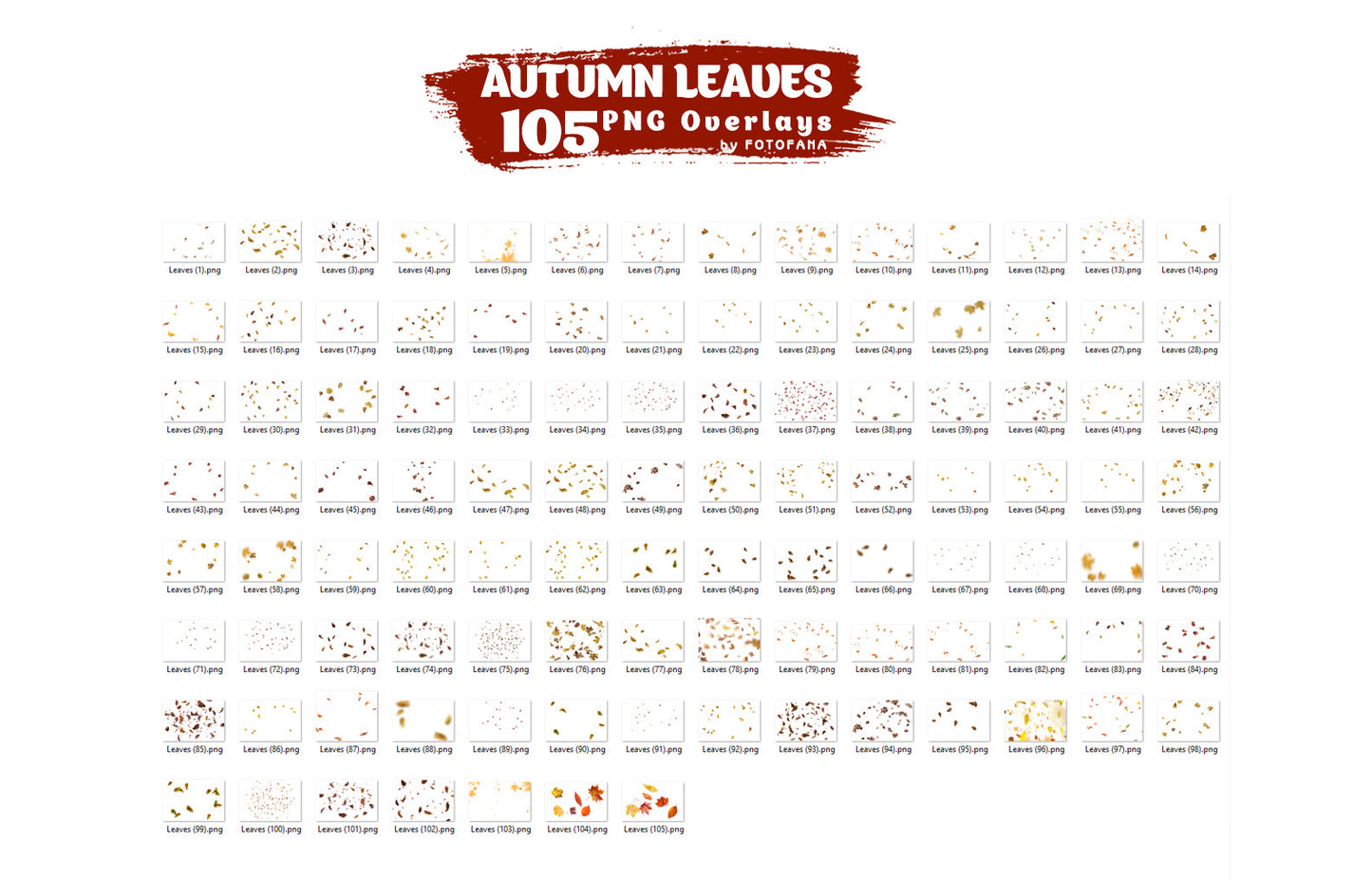 Autumn Leaves PNG Overlays
