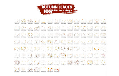 Autumn Leaves PNG Overlays